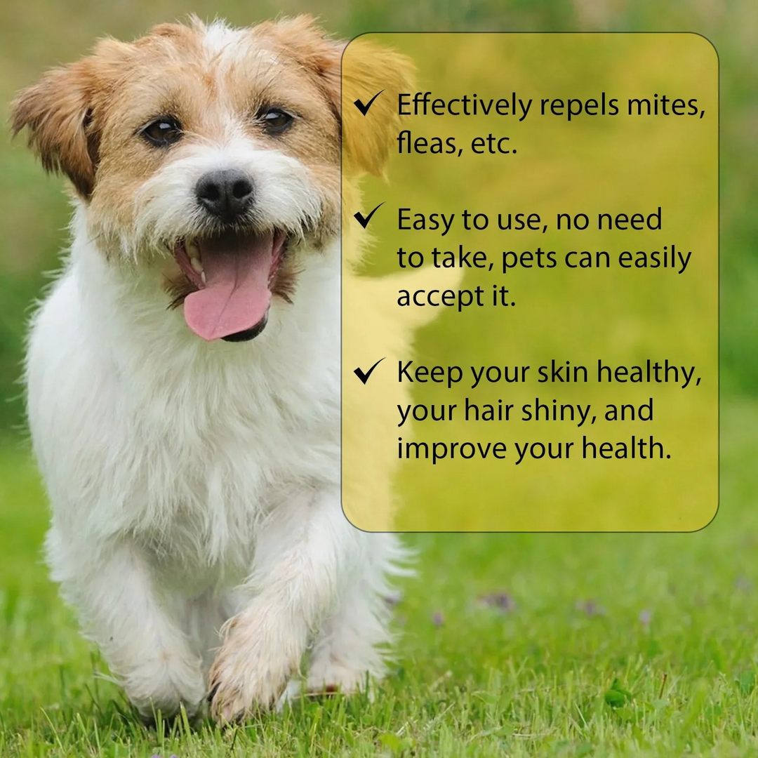BowLift | Cat Flea Treatment At Home