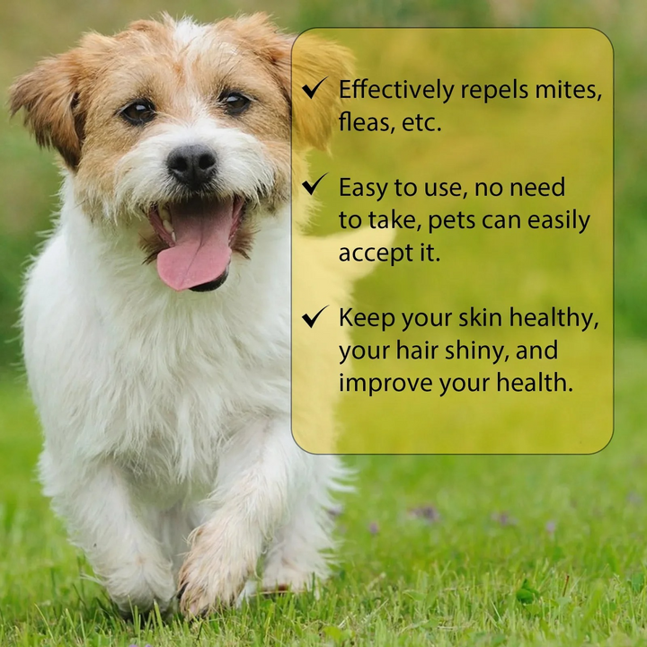 BowLift | Cat Flea Treatment At Home