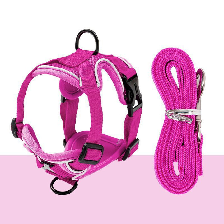 Padded dog harness with leash