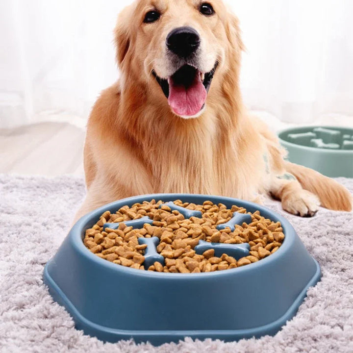 BowLift | Slow Feeder Dog Bowl