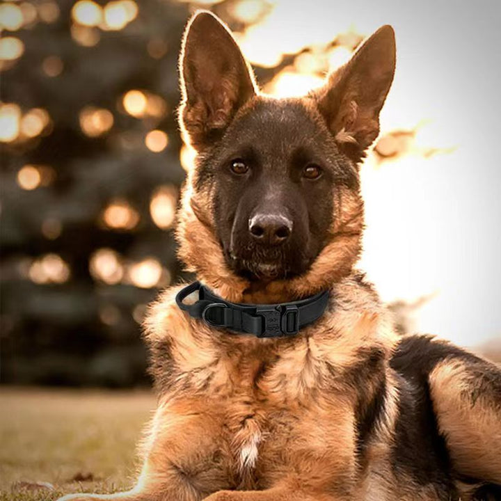 Tactical dog collar made of nylon
