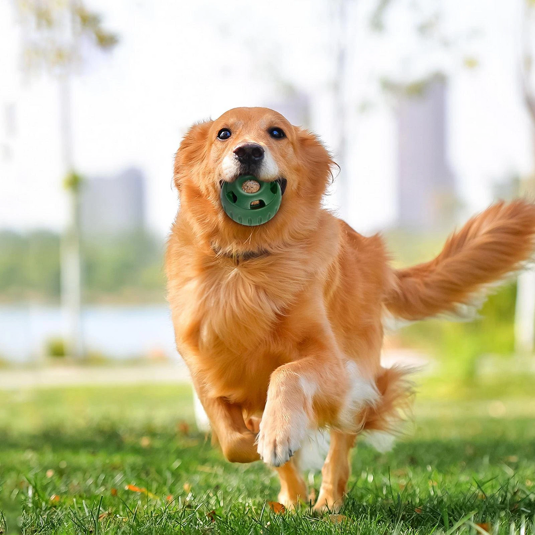 Treat-Licking Ball for Dogs | Durable, Reusable, Summer Fun | Bowlift