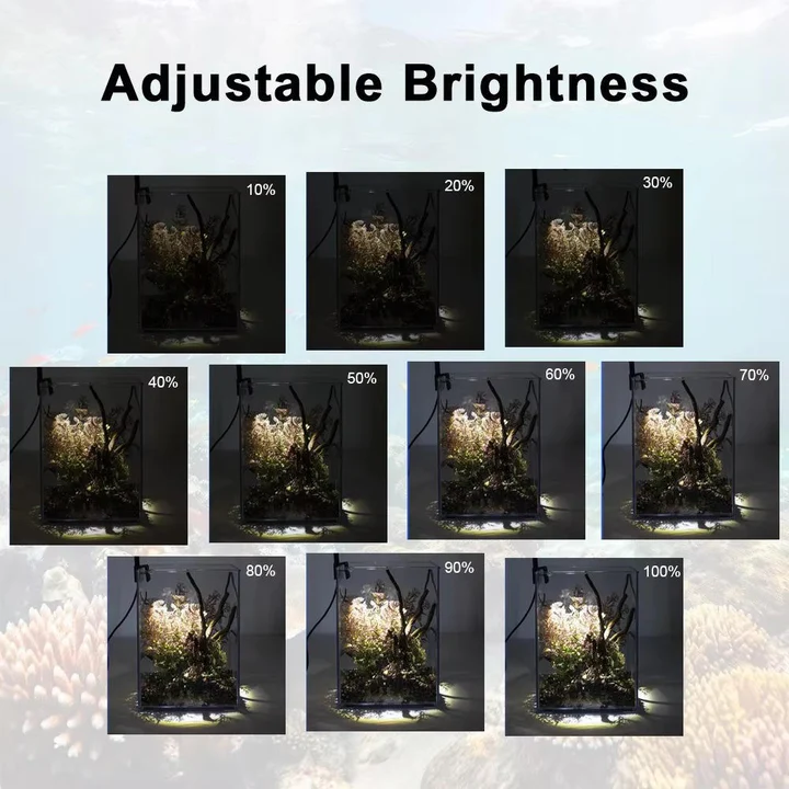 BowLift | LED Light for Fish Tank