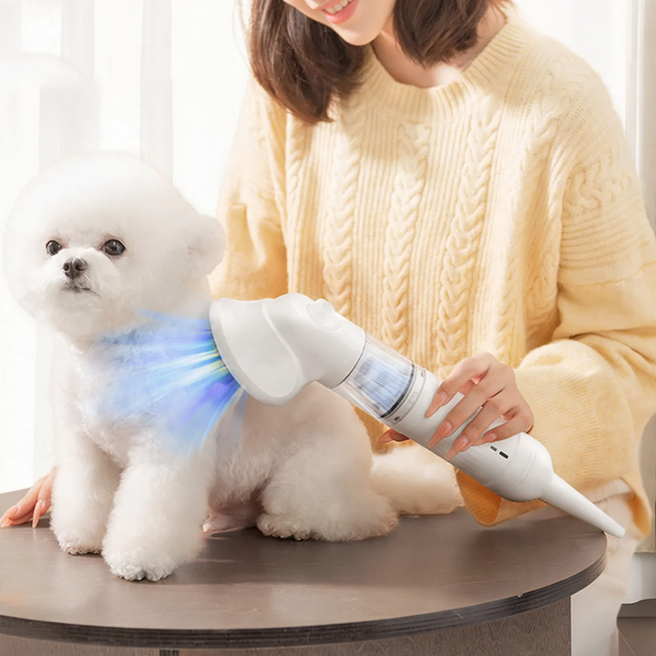 Hairbrush with suction function for small dogs