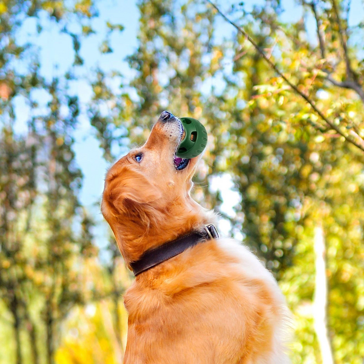 Treat-Licking Ball for Dogs | Durable, Reusable, Summer Fun | Bowlift