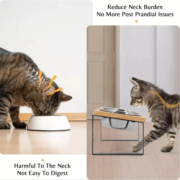 BowLift | Raised Cat Bowl for Comfortable Feeding