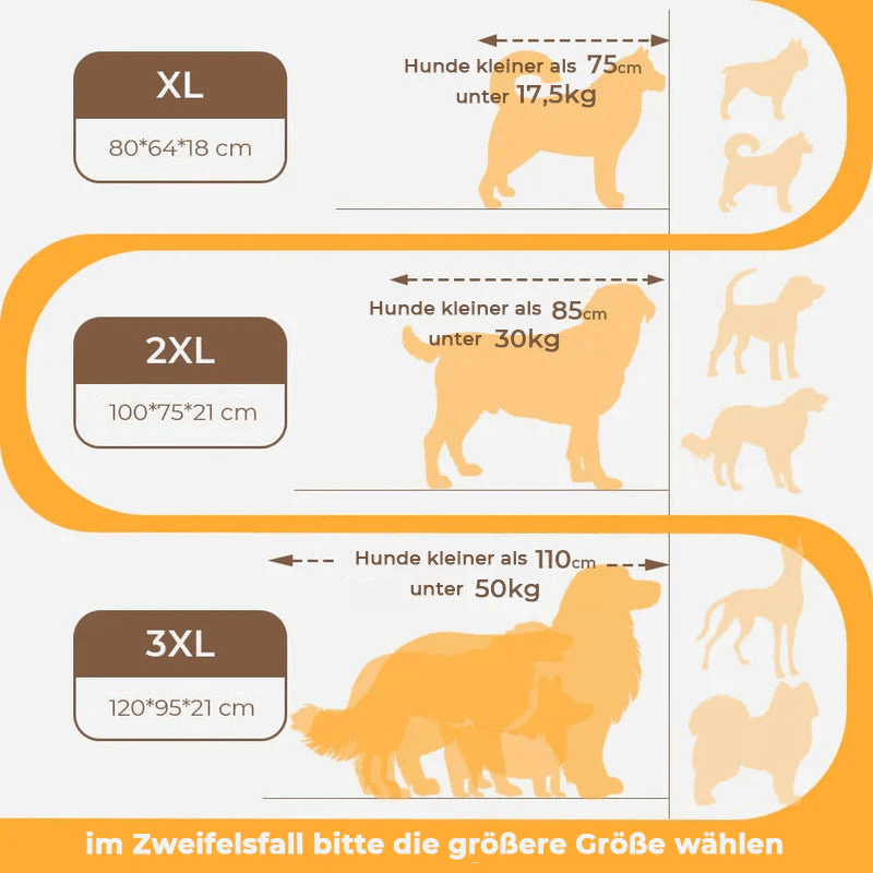 BowLift | CocoonChien | Optimal comfort for your companion