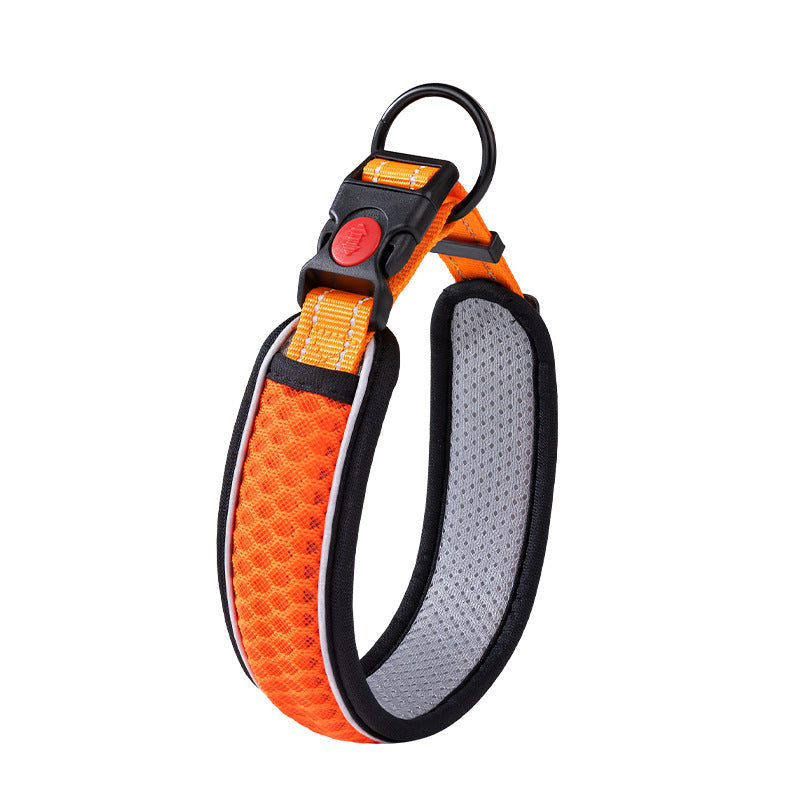 Dog collar made of polypropylene