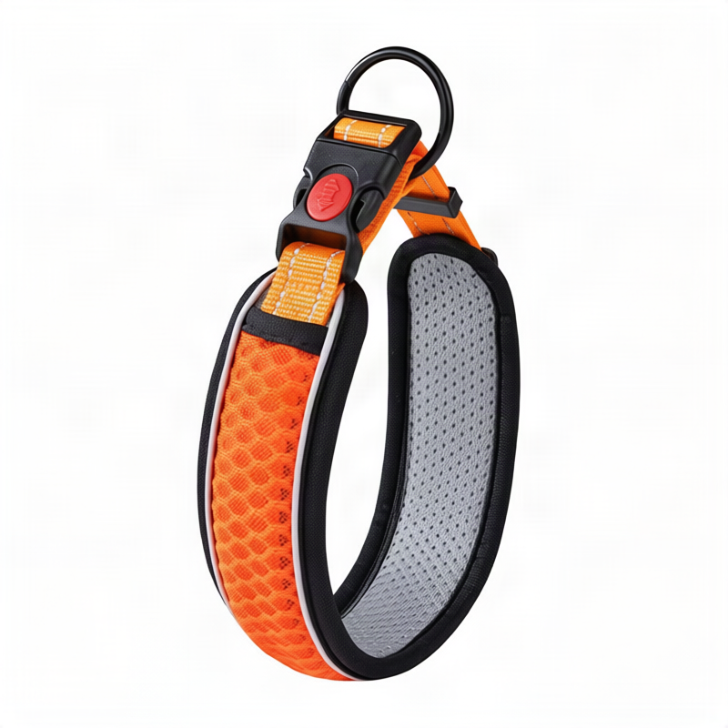 Dog collar made of polypropylene