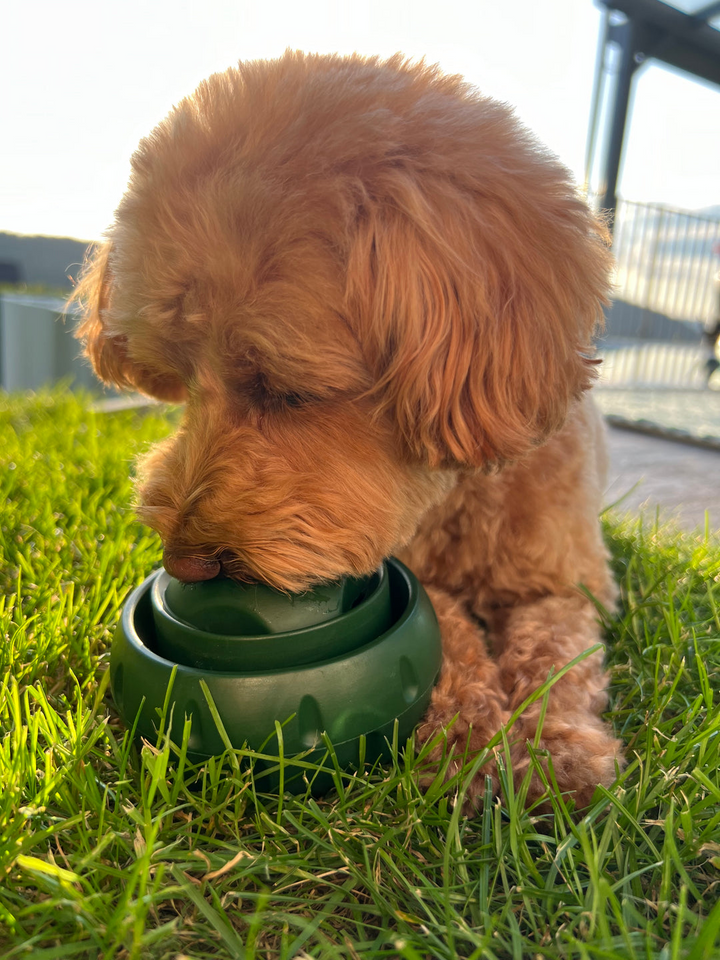 Treat-Licking Ball for Dogs | Durable, Reusable, Summer Fun | Bowlift