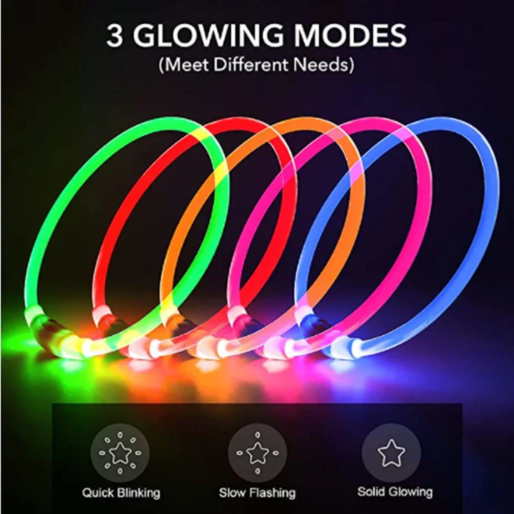 BowLift | Light Up Dog Collar, USB Rechargeable LED Glowing Collar