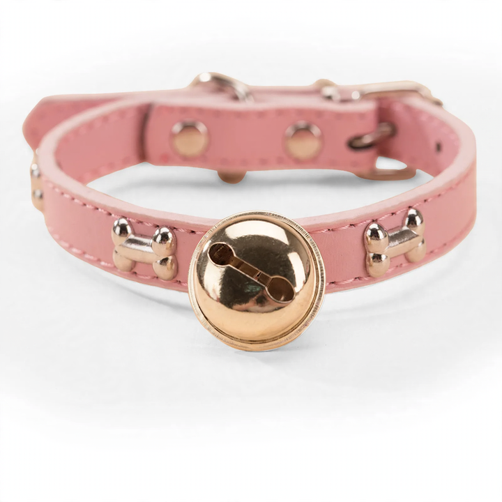 Nylon collar for medium and large dogs