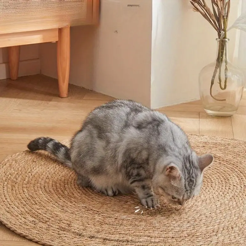Scratching mat for cats | Bowlift