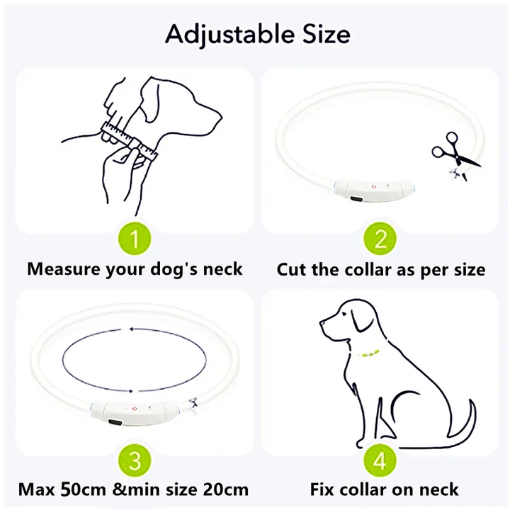 BowLift | Light Up Dog Collar, USB Rechargeable LED Glowing Collar