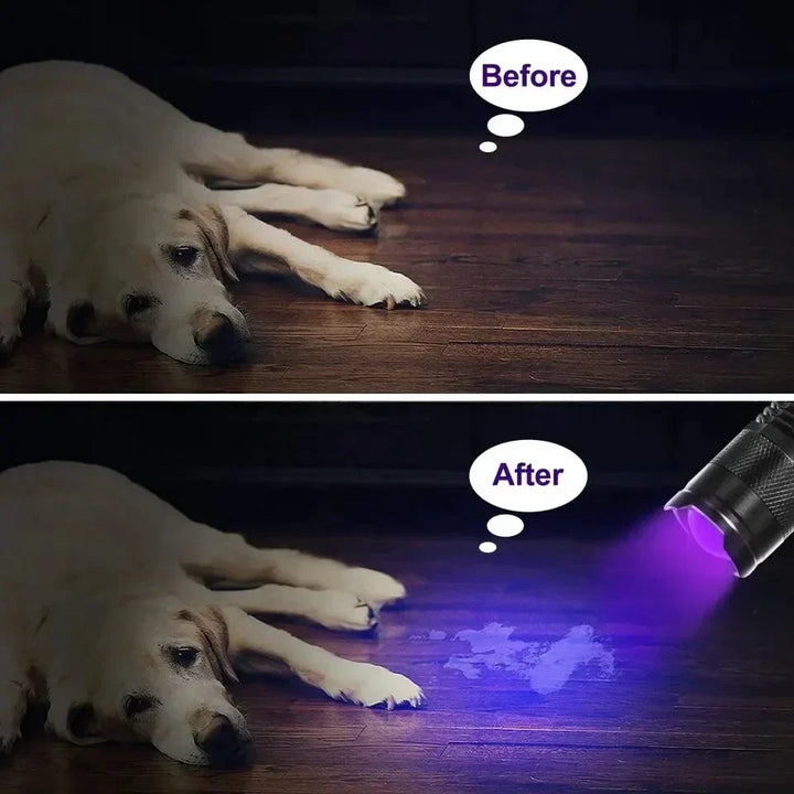 UV Flashlight for Urine and Stains Bowlift