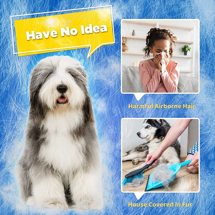 Efficient Care for Pets Bowlift
