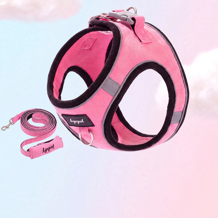 Reflective harness with leash for cats and small dogs