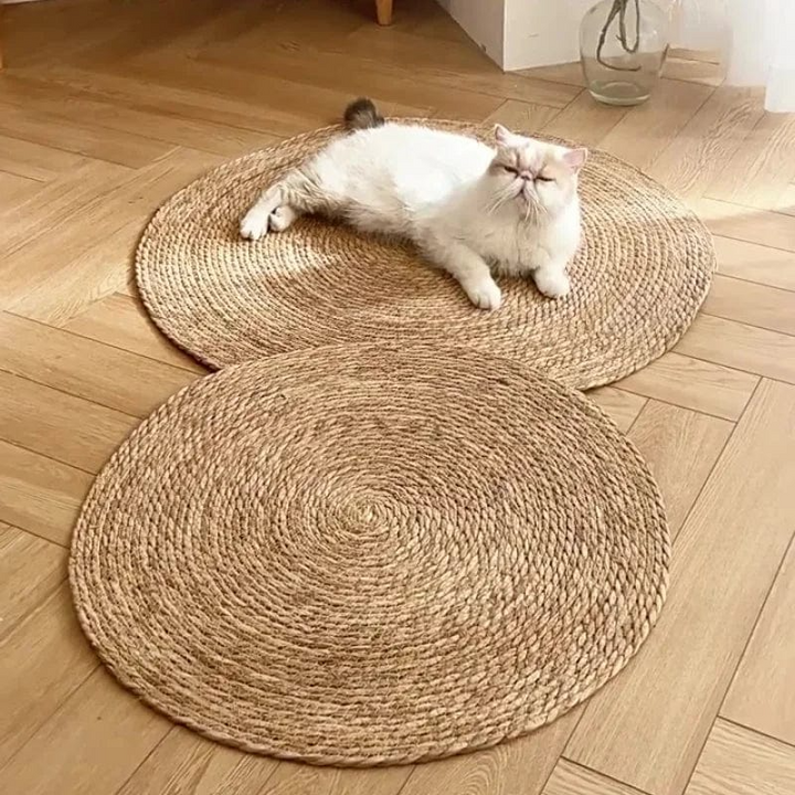 Scratching mat for cats | Bowlift