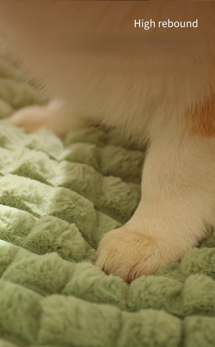 Warm Dog Mat for Small & Medium Dogs Bowlift