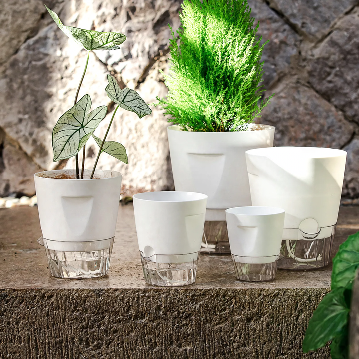 Self-watering flower pot