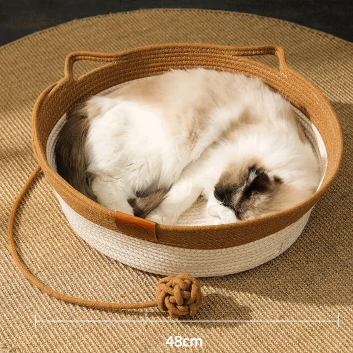 BowLift | CoolPaws Restful Cooling Escape