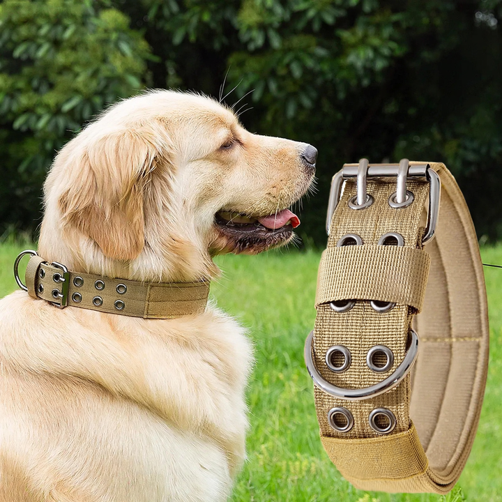 Nylon collar for medium and large dogs