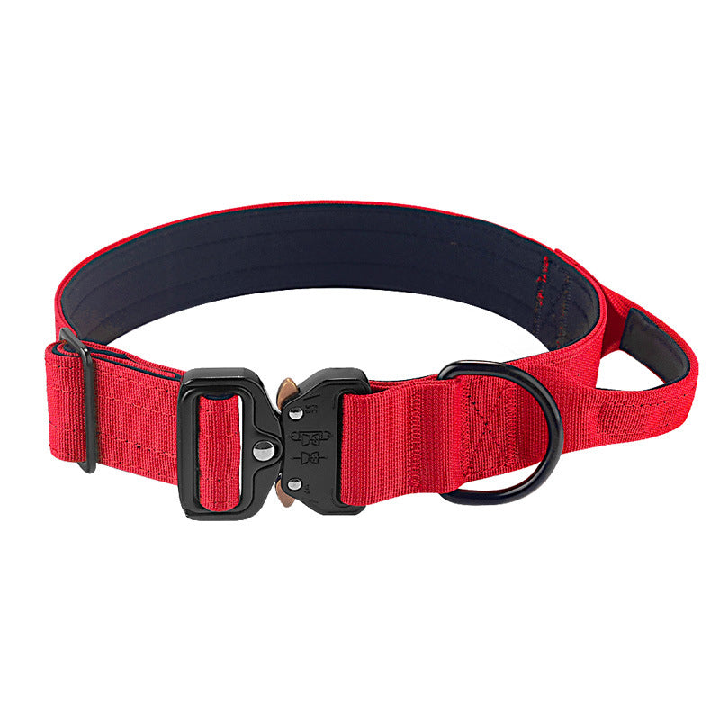 Nylon dog collar with handle