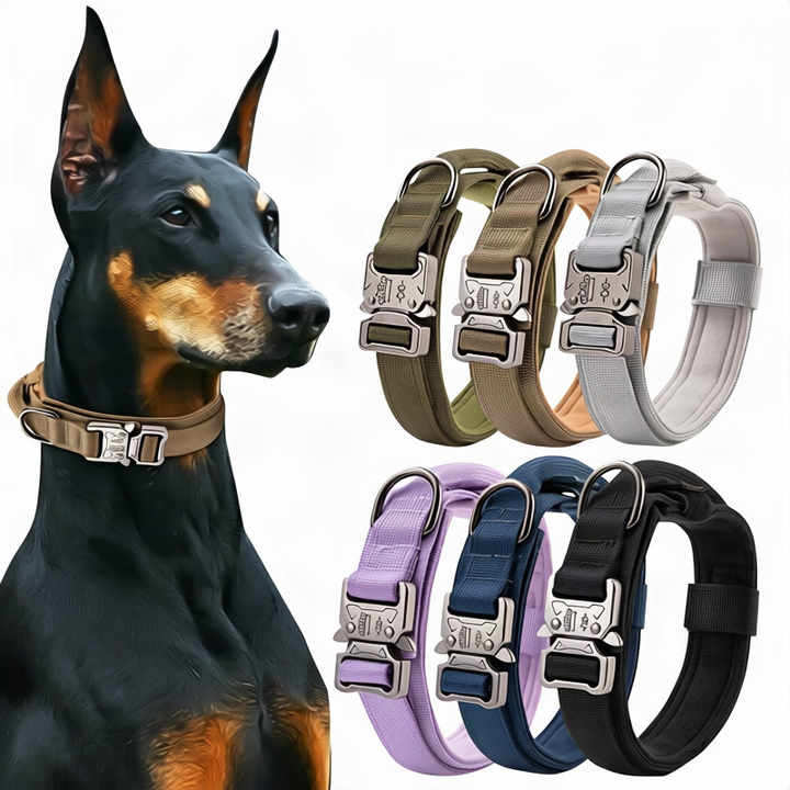 Nylon dog collar with handle