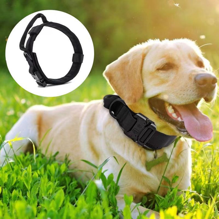 Tactical dog collar made of nylon