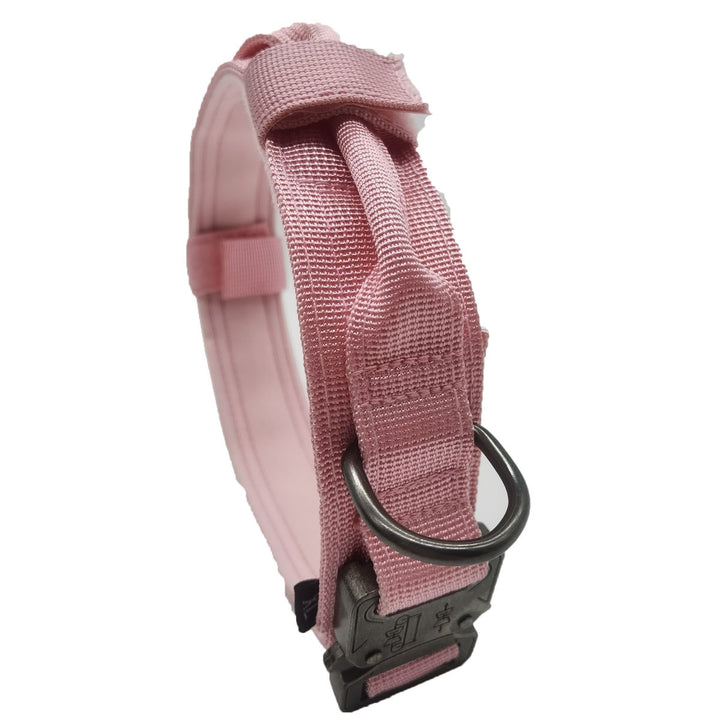 Nylon dog collar with handle