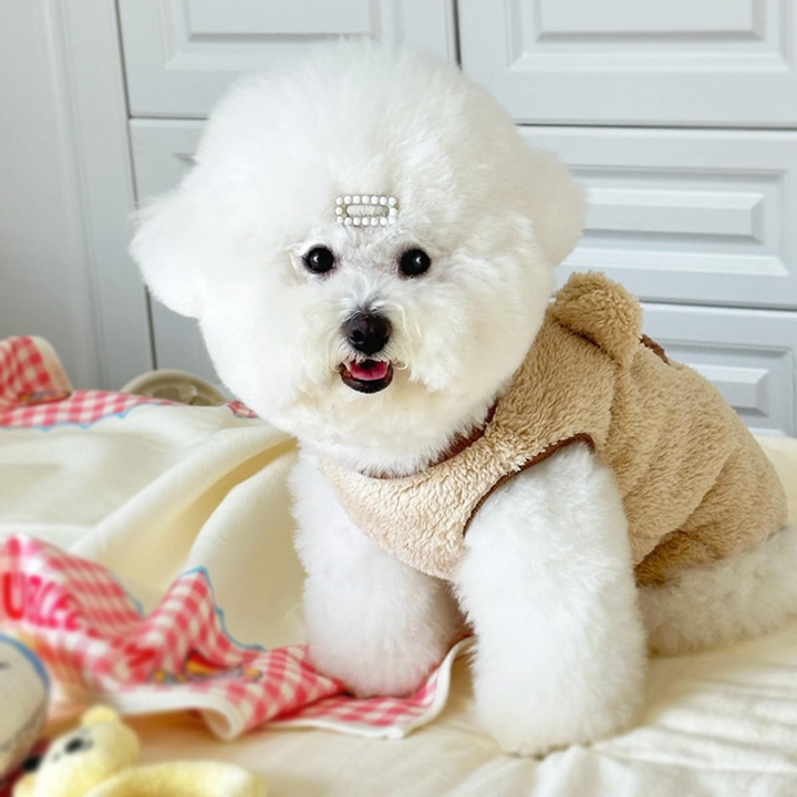 Wintry warm pet sweater | Bowlift