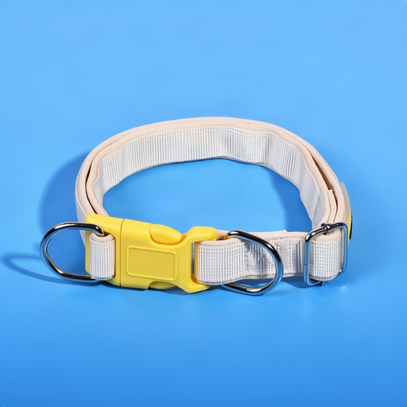 Dog collar made of polypropylene