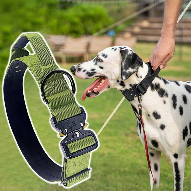 Nylon dog collar with handle