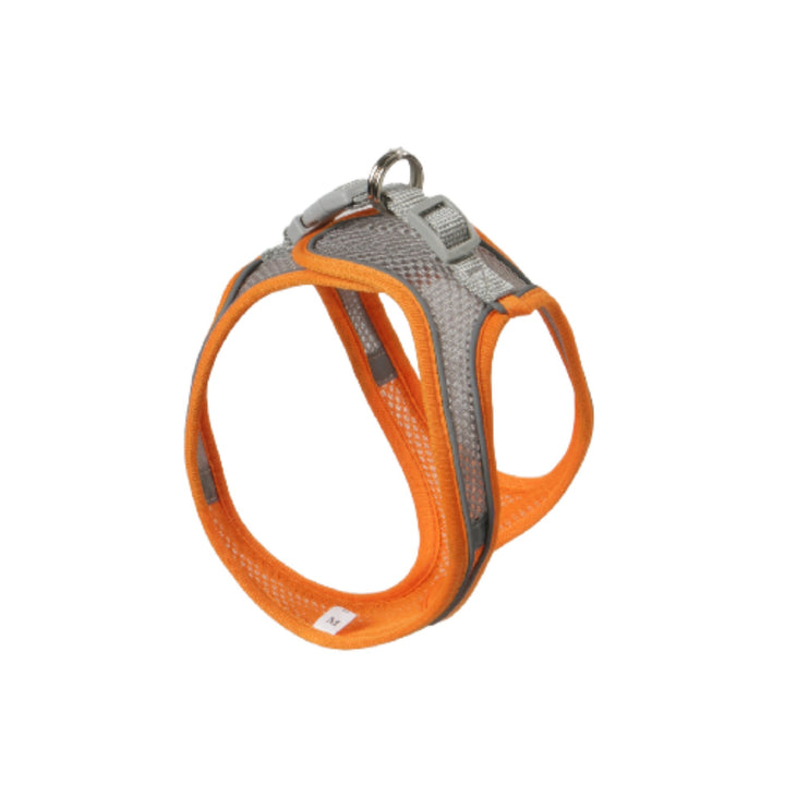 Dog harness made of fabric with leash, XS to XL