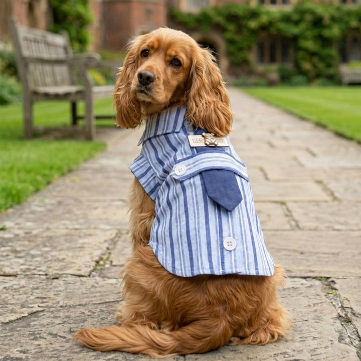 Dog Shirt, Spring/Summer, Gentleman Style