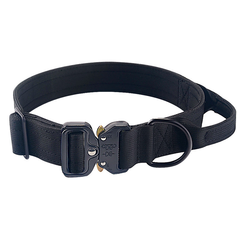 Nylon dog collar with handle