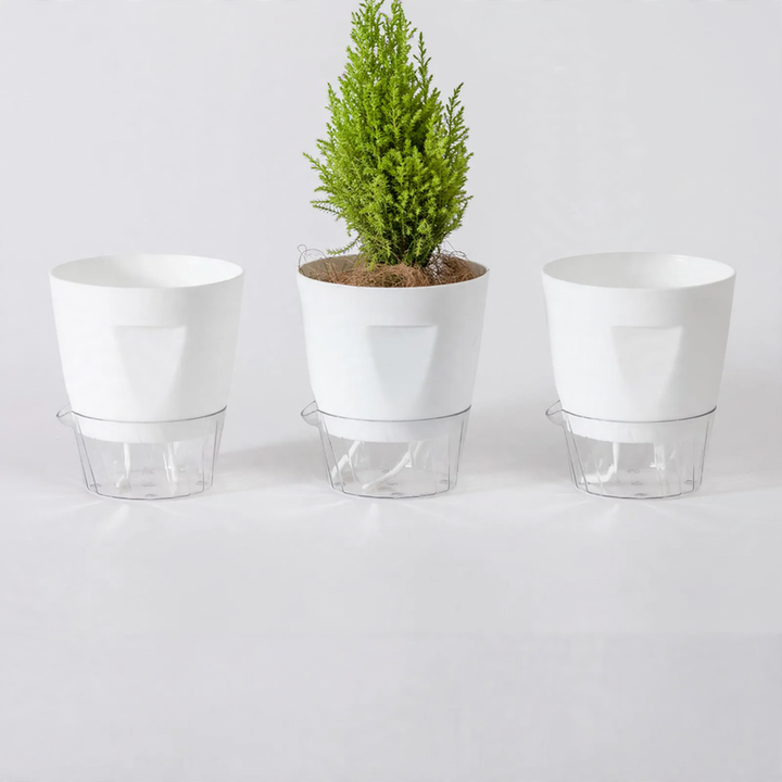 Self-watering flower pot