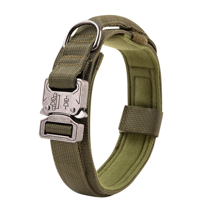 Nylon dog collar with handle