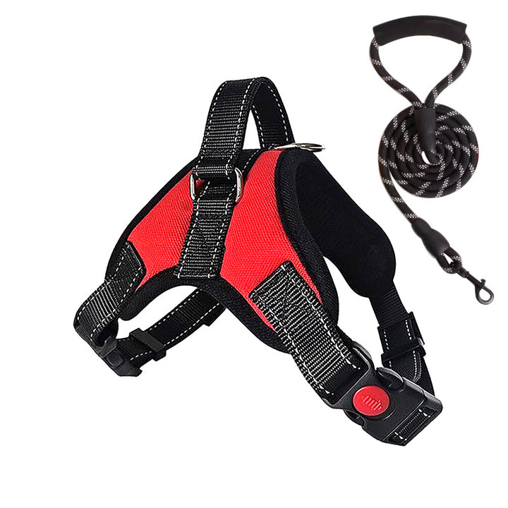 Padded dog harness with leash