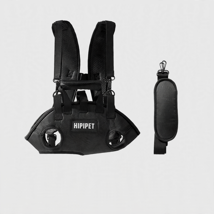 Backpack for dogs and cats, portable