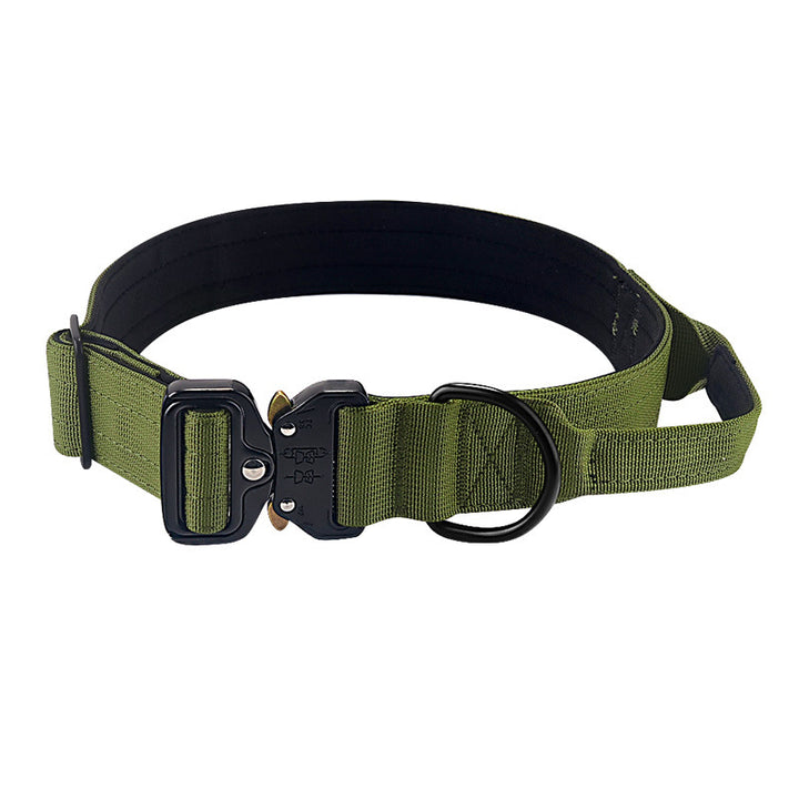 Nylon dog collar with handle