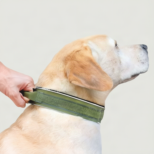 Tactical dog collar with handle