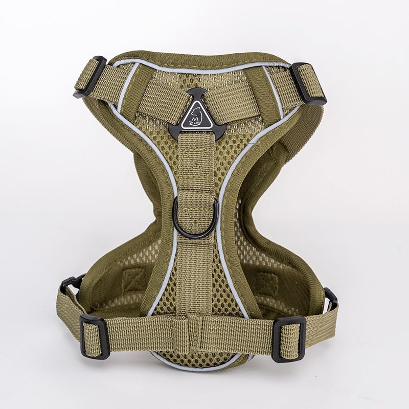 Padded dog harness with leash