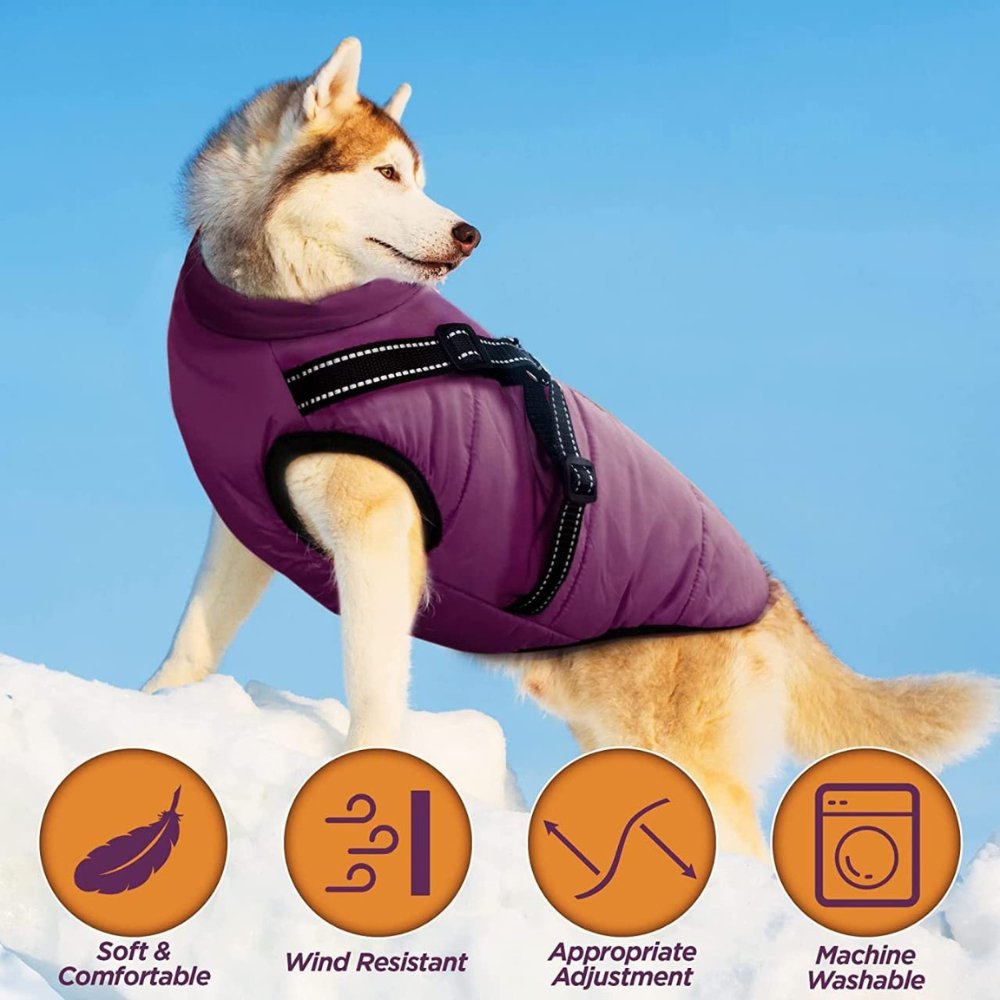 DryPaw • Waterproof Dog Coat - Waterproof Dog Coat - BowLift