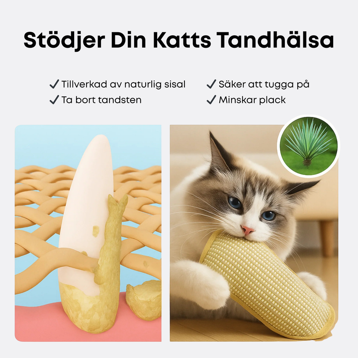 Krallex® — Unleash your cat's wild hunting frenzy for hours of play fun and healthy teeth | Bowlift