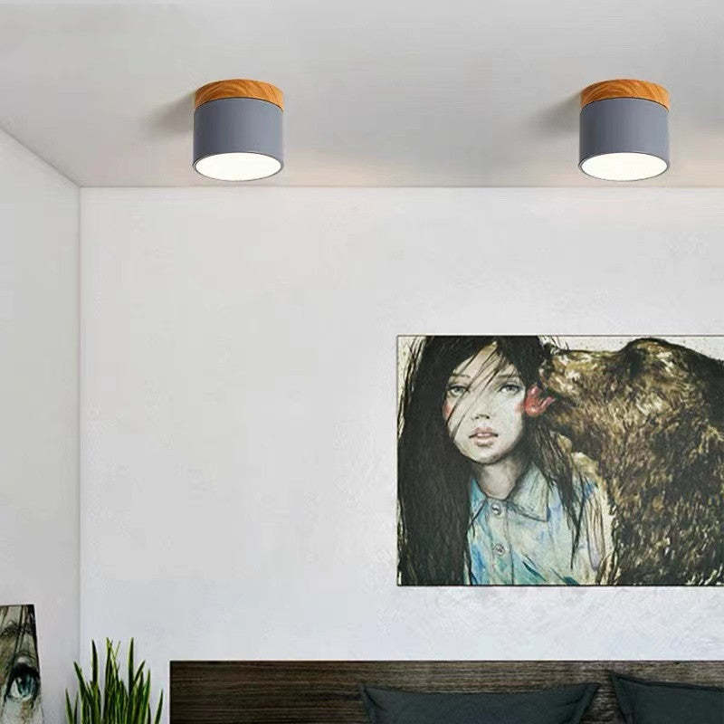 Morandi Style Modern LED Ceiling Lamp - LumiModo | Bowlift