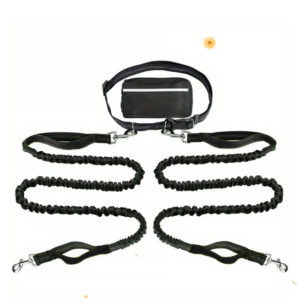BowLift | PawsFree Pro – Enjoy stress-free walks with your dog