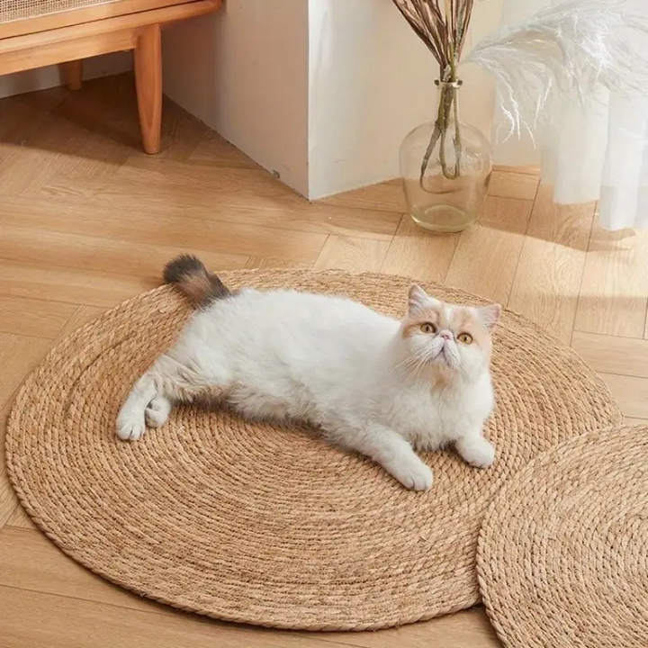 BowLift | KrazeLuxe Matte — Finally peace from scratching chaos and the favorite spot for your cat