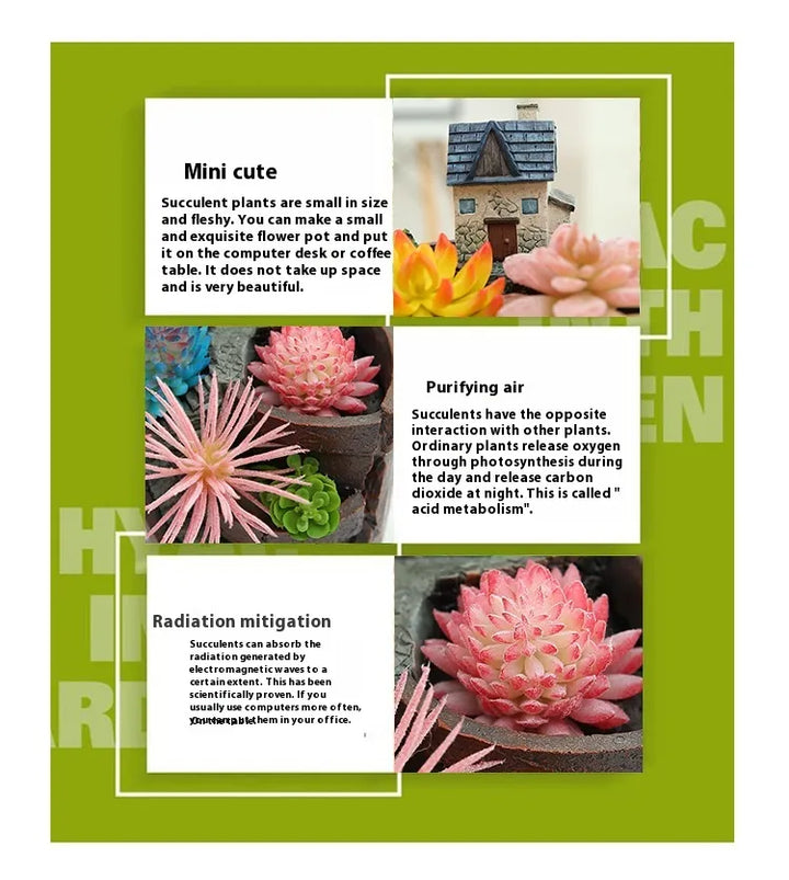 BowLift | Succulent decorative flower pot for mini garden – Bonsai planting pot for micro landscape and garden