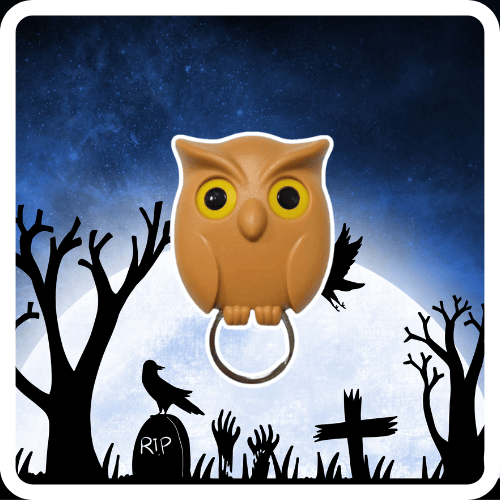 BowLift | Owl creative keychain